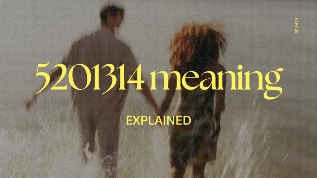 5201314 meaning